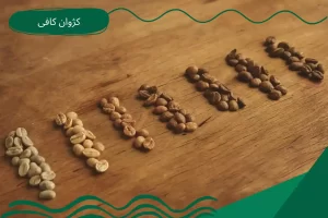قهوه لایت رست و دارک رست
