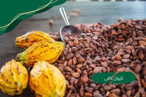 میکس قهوه عربیکا و روبوستا