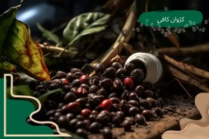 انواع ترکیب عربیکا