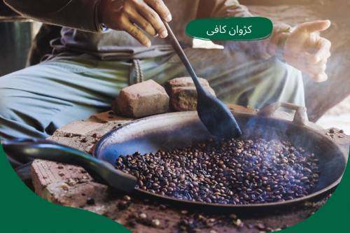 دانه قهوه کنگو