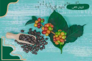 قهوه کلمبیا و قهوه عربیکا