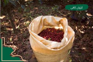قهوه سوماترای اندونزیایی