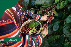قهوه کاستیلو