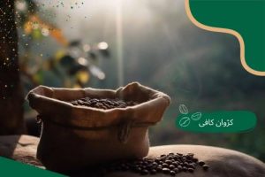 تاثیر قهوه روبوستا بر سلامتی