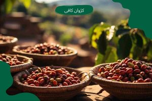 قهوه کاستیلو کلمبیایی