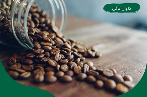 تاریخچه قهوه عربیکا