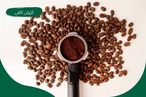 بررسی تاریخ قهوه روبوستا