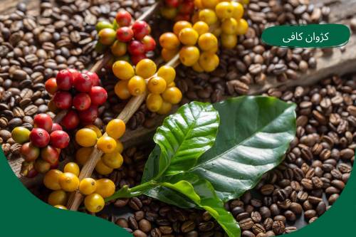 قهوه ریو برزیلی