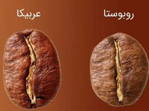 دان قهوه چیست ؟