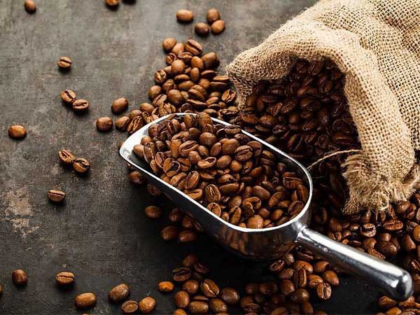 خرید عمده قهوه ترک