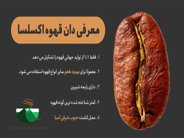 قهوه اکسلسا