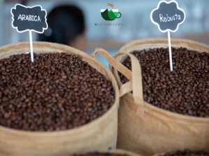 بهترین ترکیب عربیکا و روبوستا چیست
