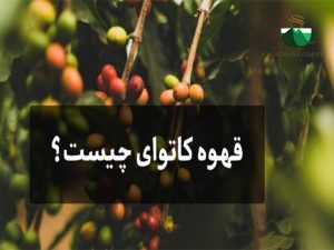 قهوه کاتوای