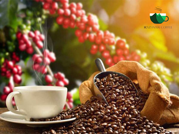 قهوه کاتوای