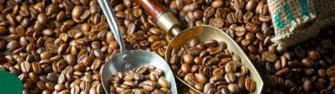 میکس روبوستا